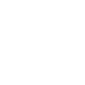 MuleSoft_300x_slider_logo_redux