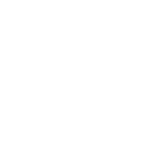 brinks_300x_slider_logo2